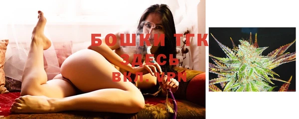 дживик Ладушкин